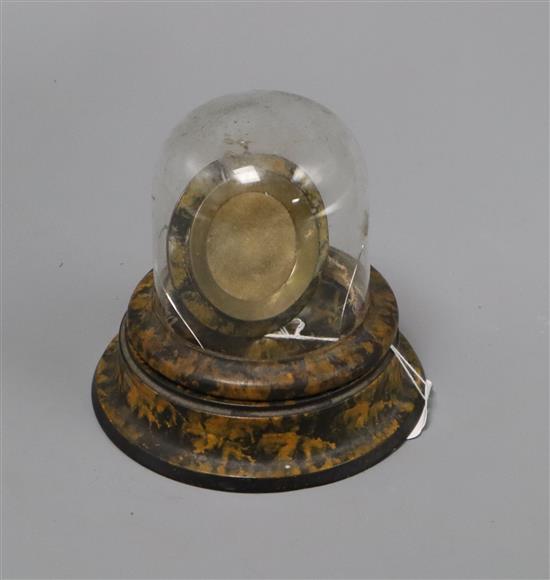 A painted faux tortoiseshell pocket watch stand under glass dome height 12cm